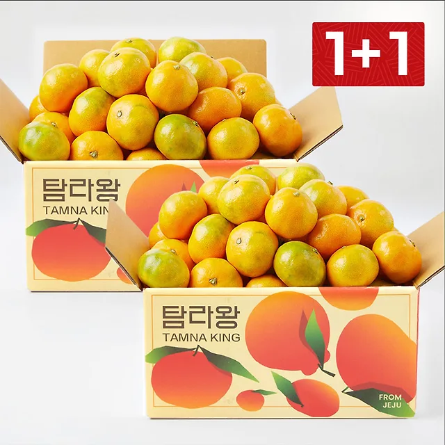 제주 하우스감귤 2.5kg 2박스