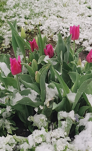 우리는 선택하지
않은 순간을 더
오래 기억한다