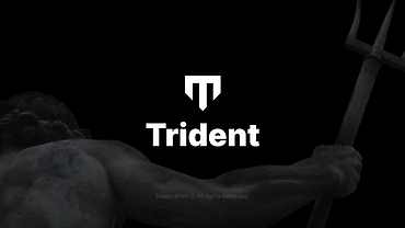 Trident: 딥러닝 모델 개발을 위한 도구