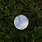 Reflector