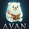 아반
