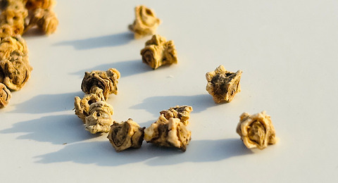 근대 씨앗을
불려두고도 바로
심지 못한 이유