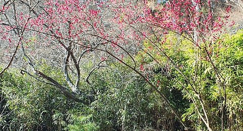 변하지 않는 것이
있을까
