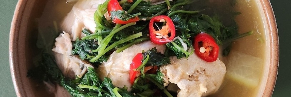 쑥 향이 피어오르면 봄이 온다