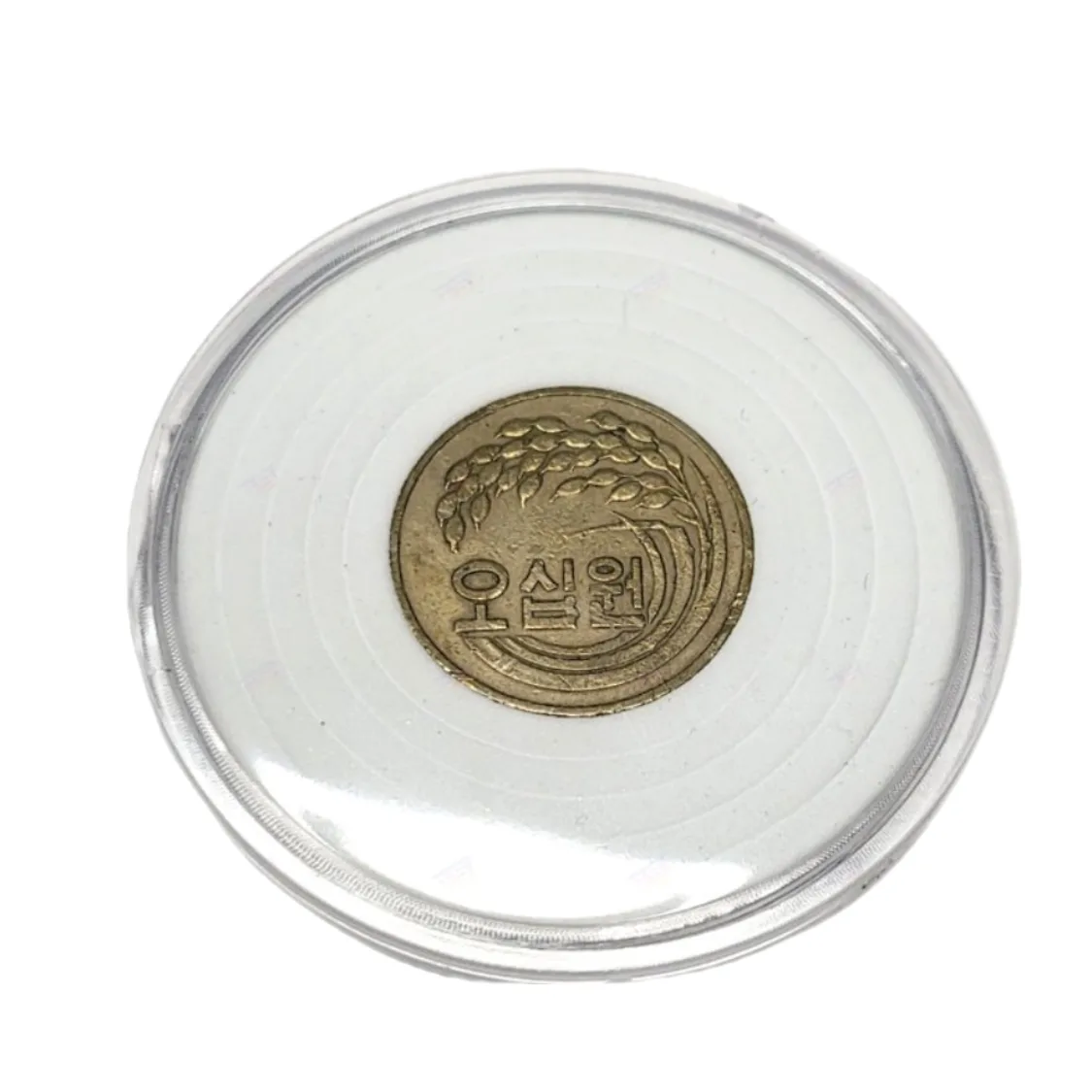 가운데고정 투명 코인 주화 동전 수집 케이스 홀더 캡 | 톡딜