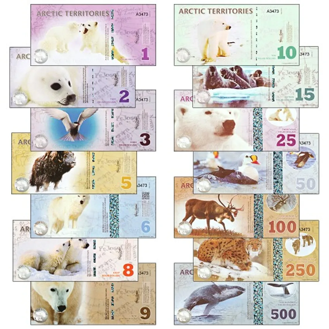 북극 기념 지폐 폴라 달러 14종 동물 도안 북극곰 여우 선물용 | 톡딜