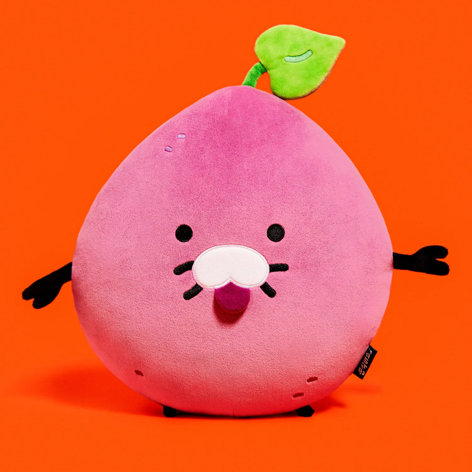 Spring Bus Face Cushion Merong Spring Guma