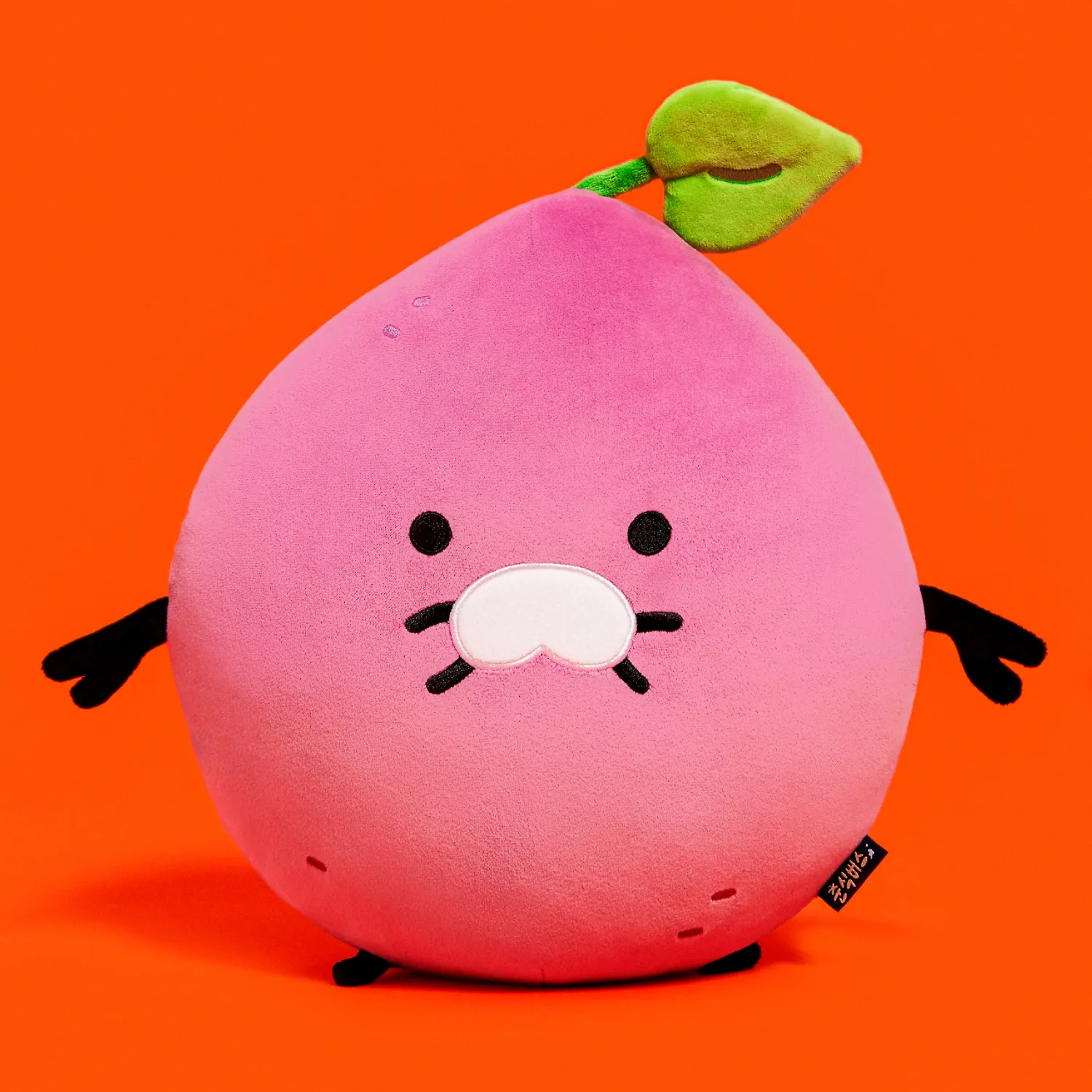 Spring Bus Face Cushion Spring Guma