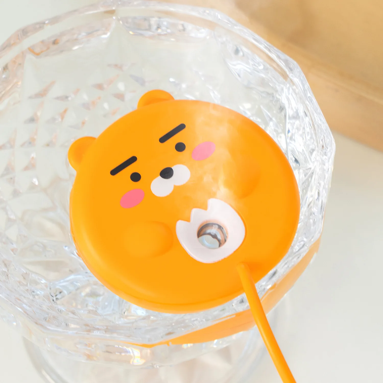 Mini Floating Humidifier Ryan