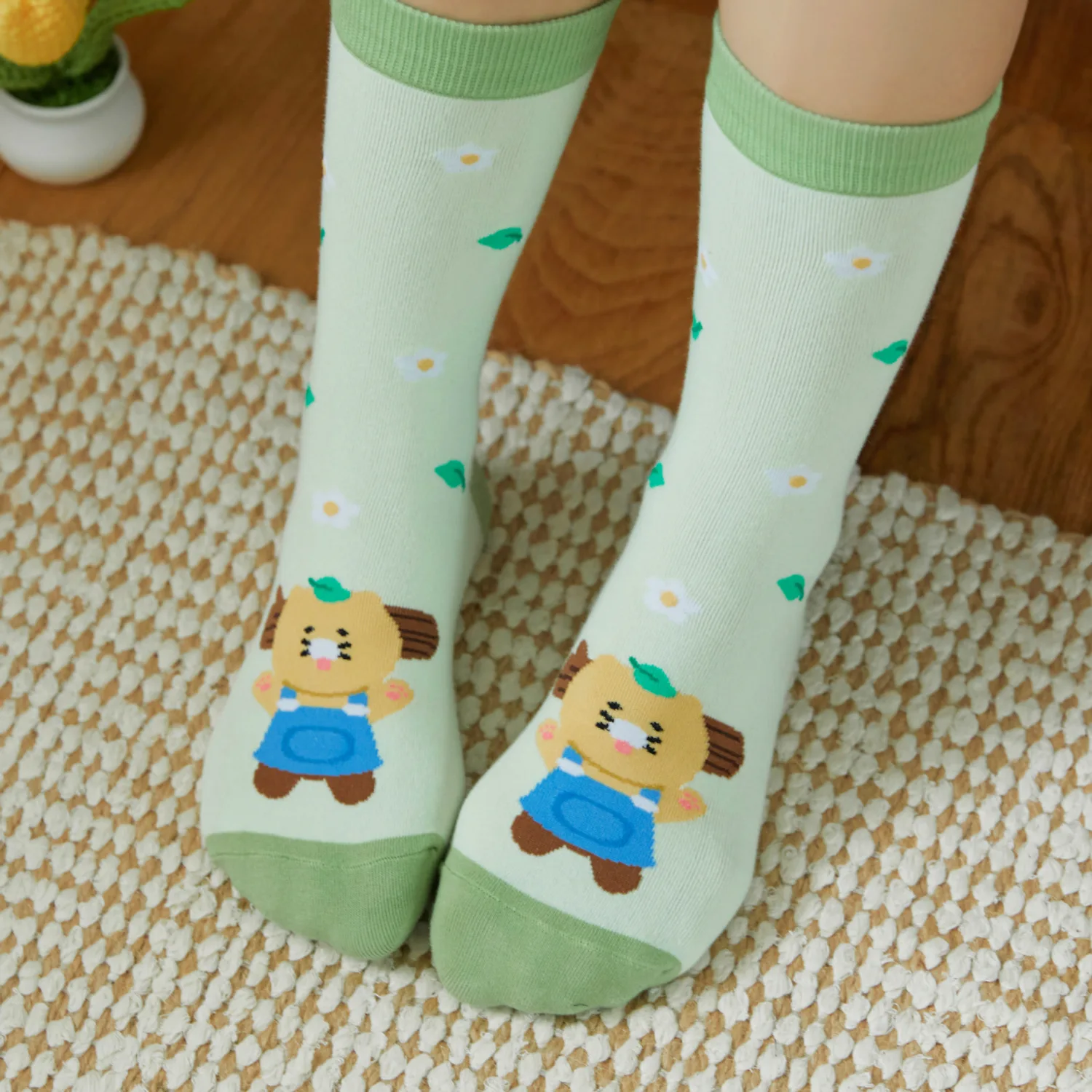 Daily Socks Healing_Chunsik