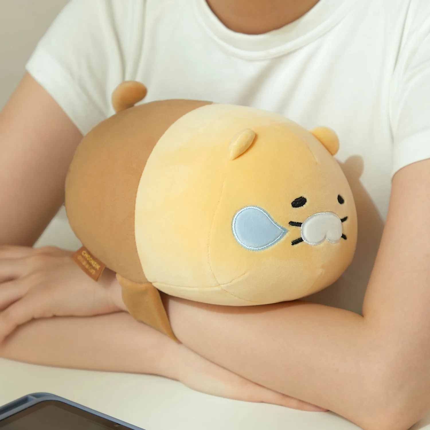 Spring Meal Honey Sleep Arm Cushion