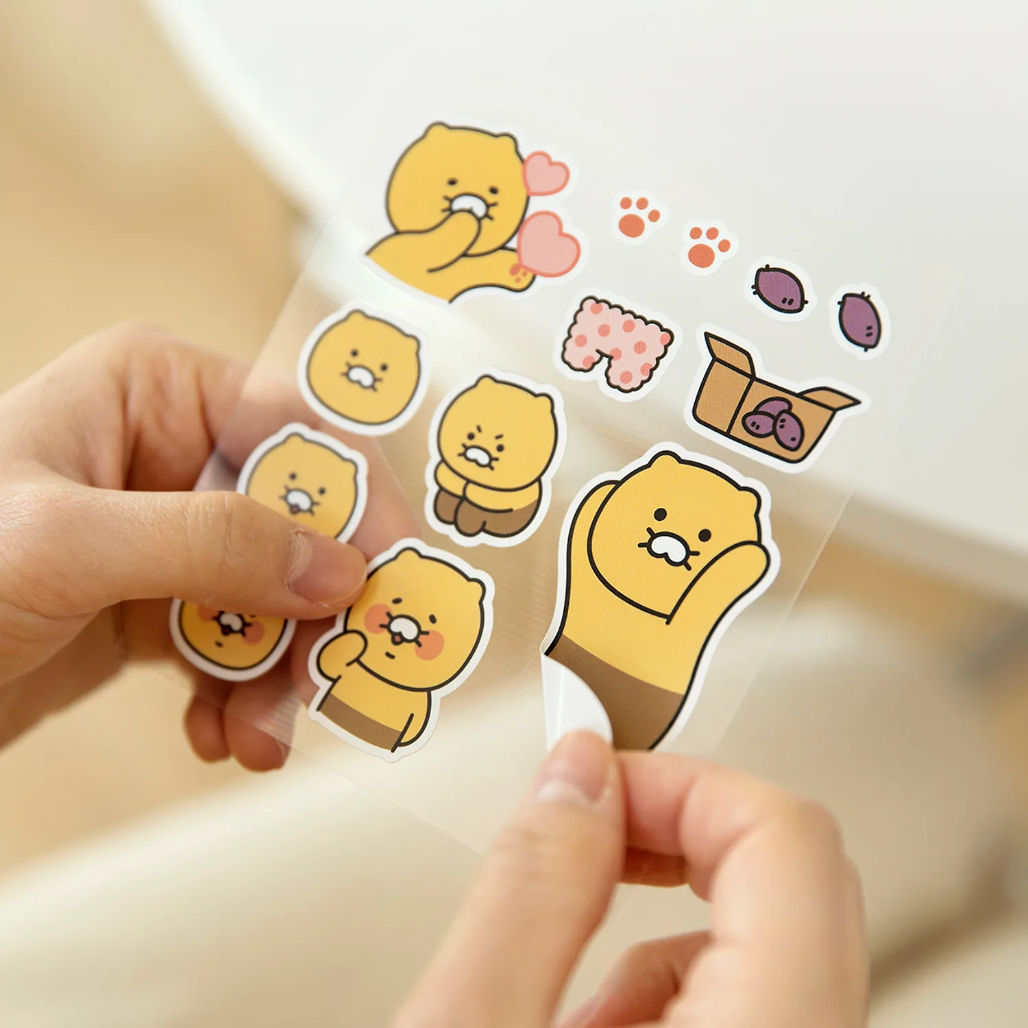 Chunsik Multi-Deco Sticker (Remover)