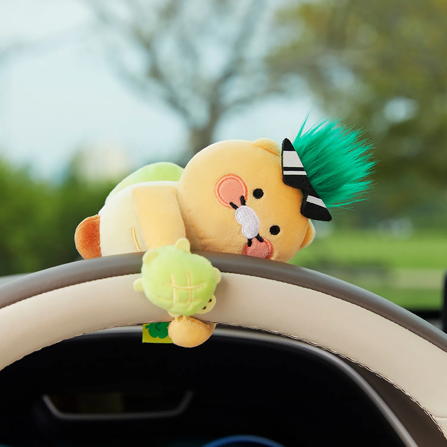 Hipster Turtle Deco Doll_Chunsik