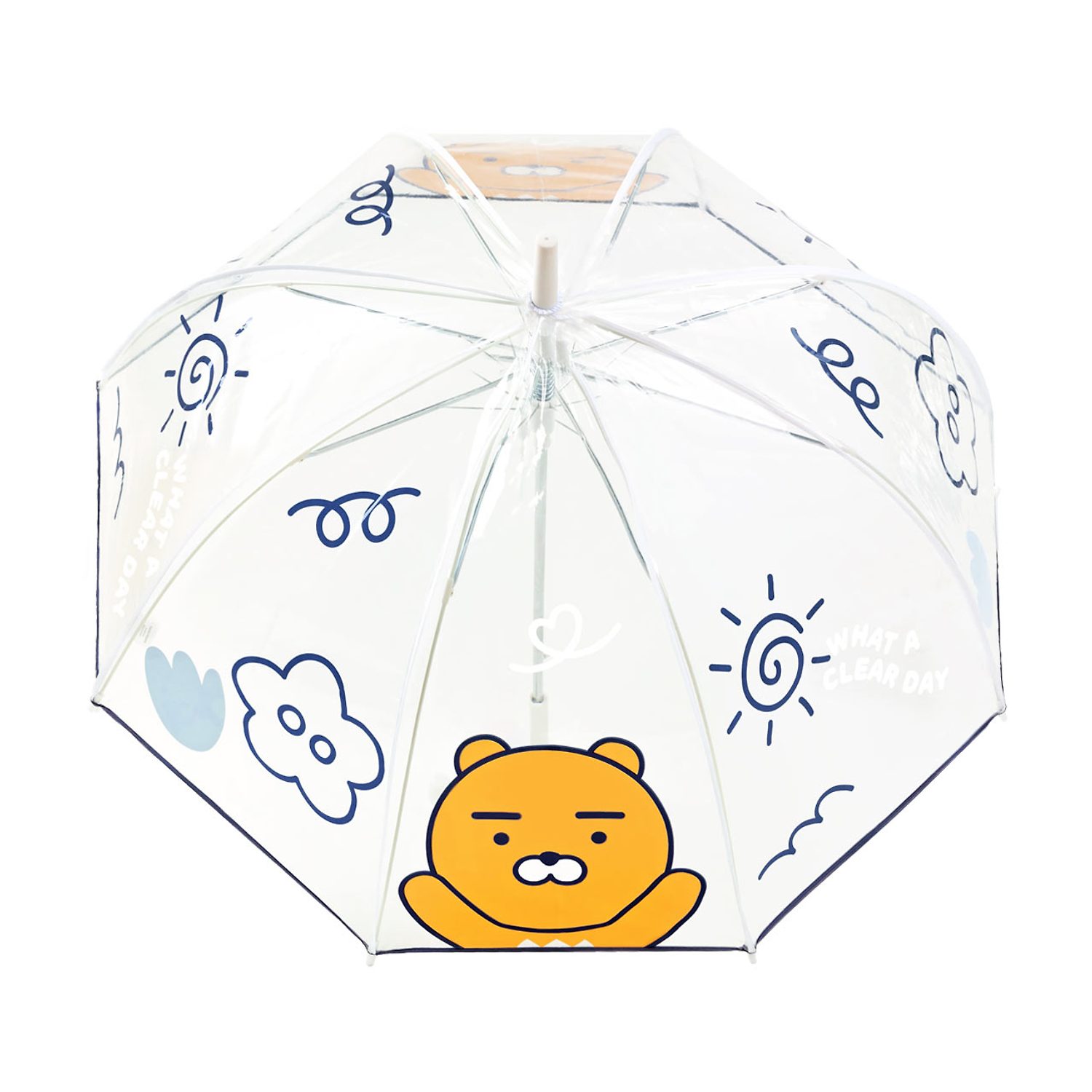 Dome type 8K transparent Jangwoo San Ryan