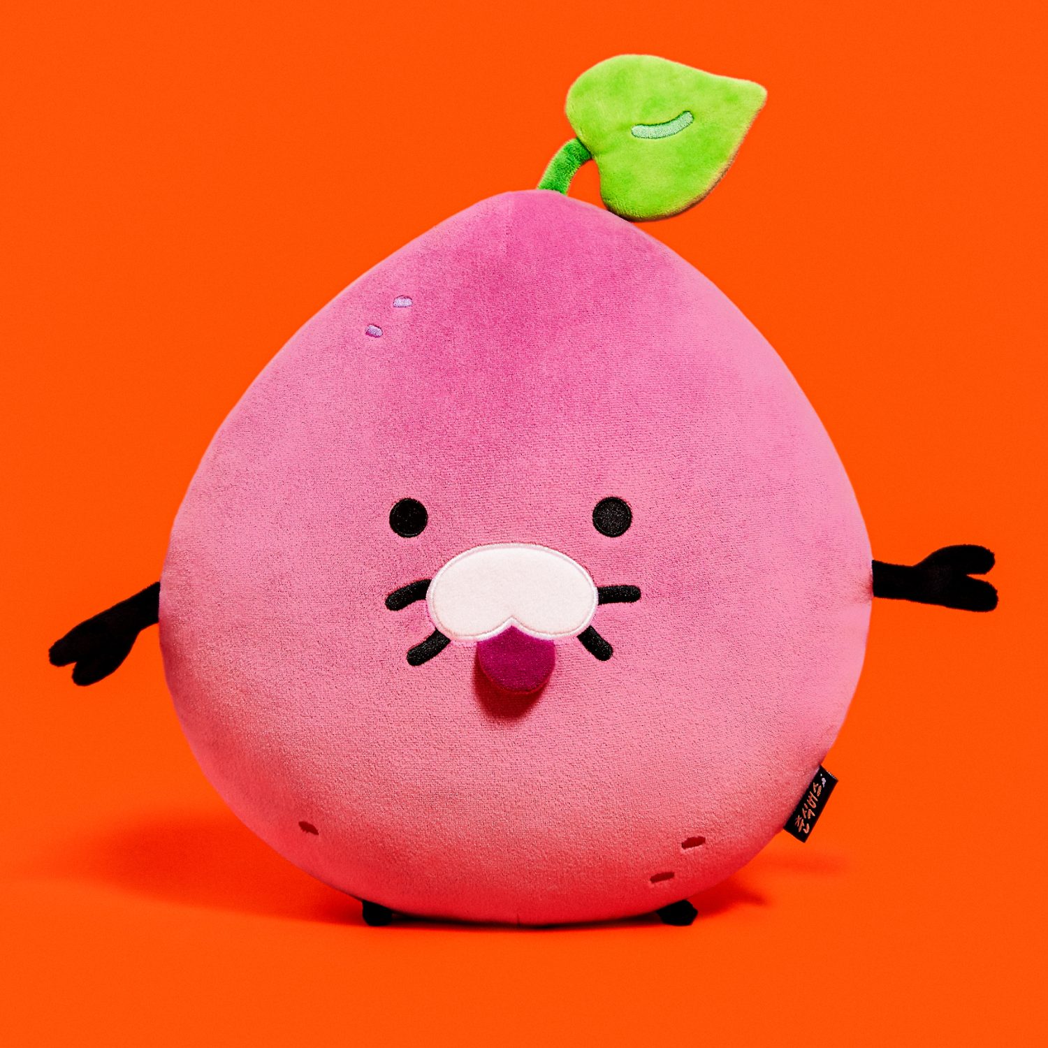 Chunsik Bus Face Cushion Melong Chun Kuma_Chunsik
