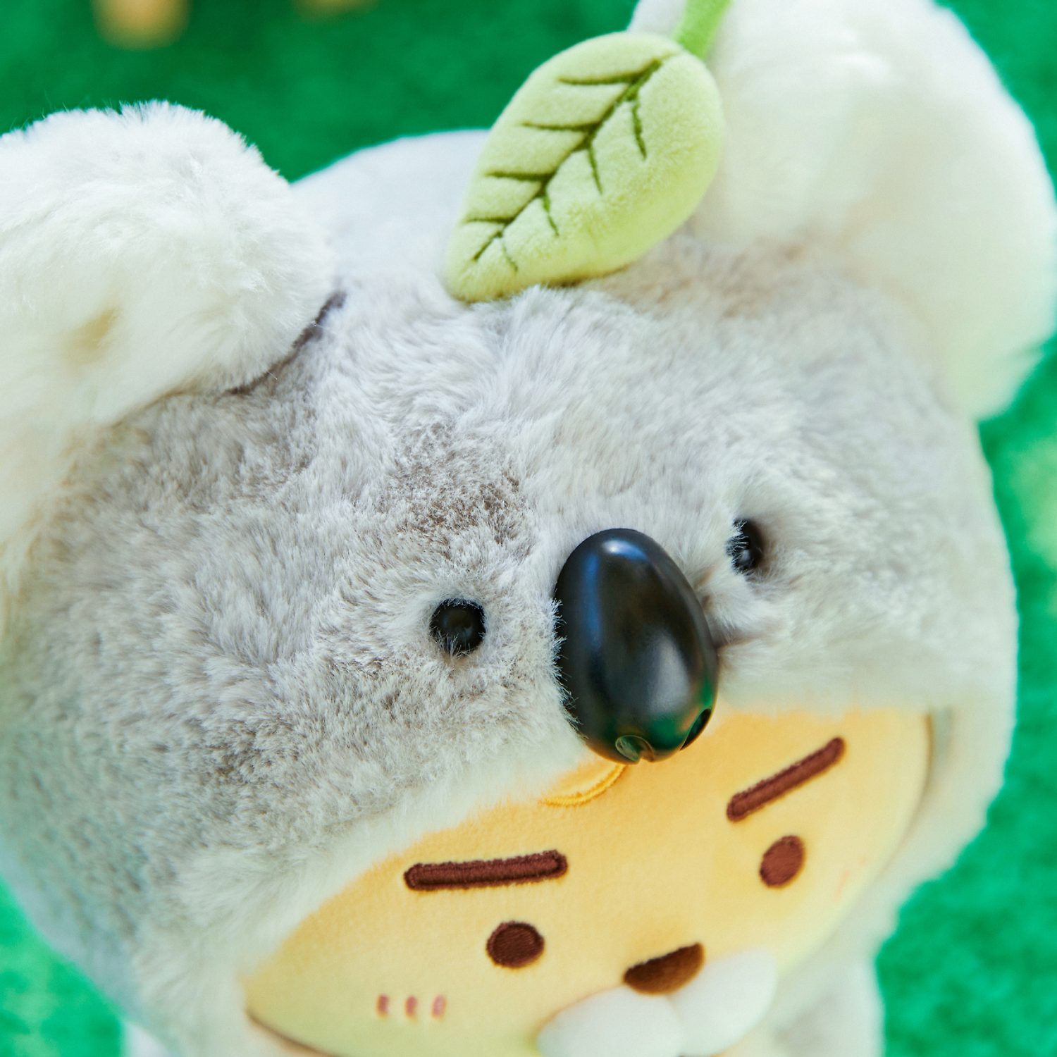 Thumbnail