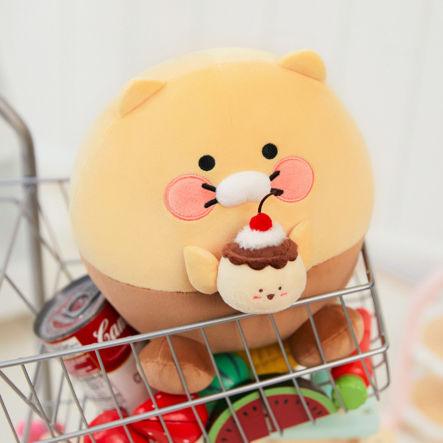 Tongtong Pillow_Chunsik