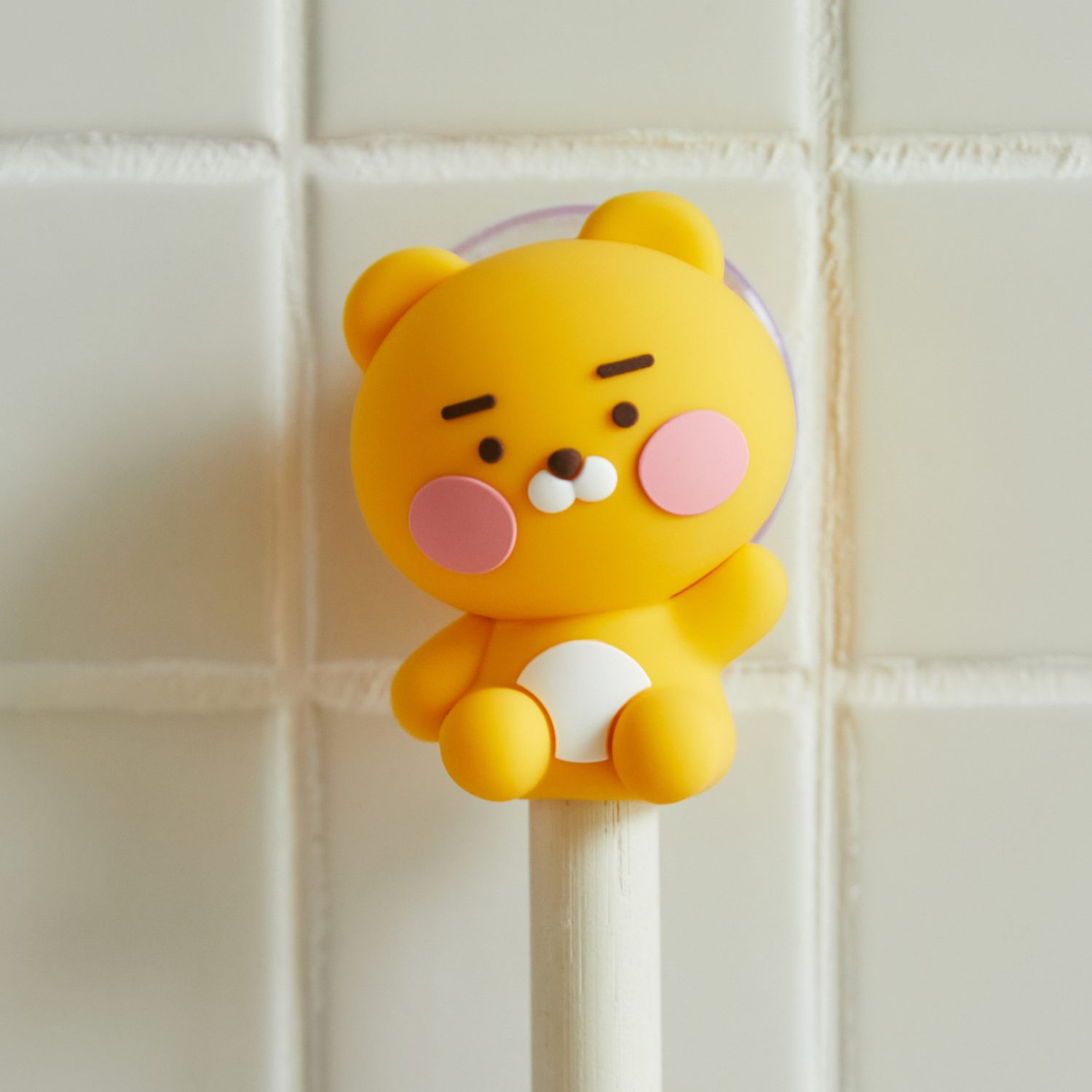 Toothbrush Holder_Little Ryan