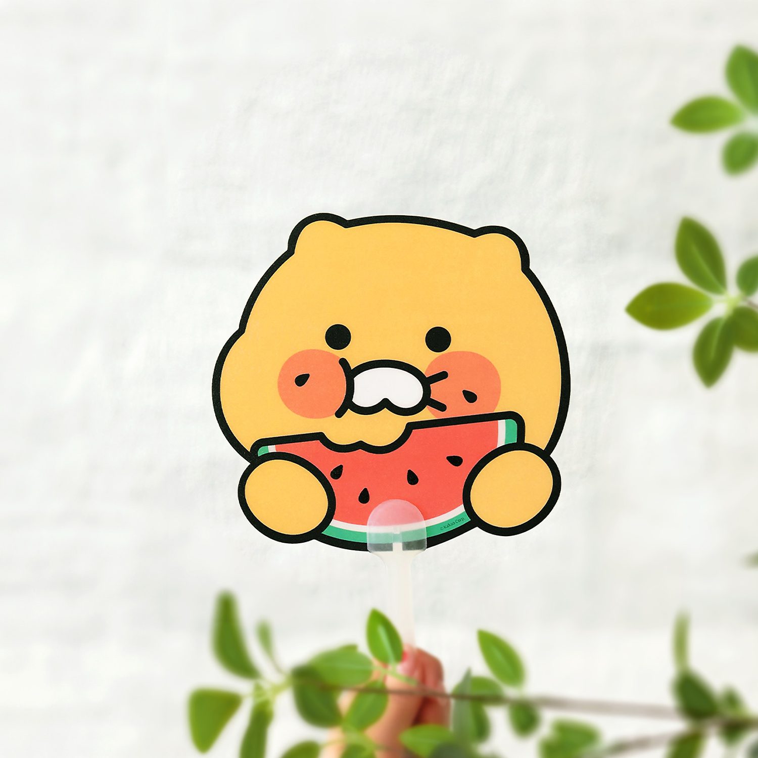 Summer Fruity PP Debt Spring