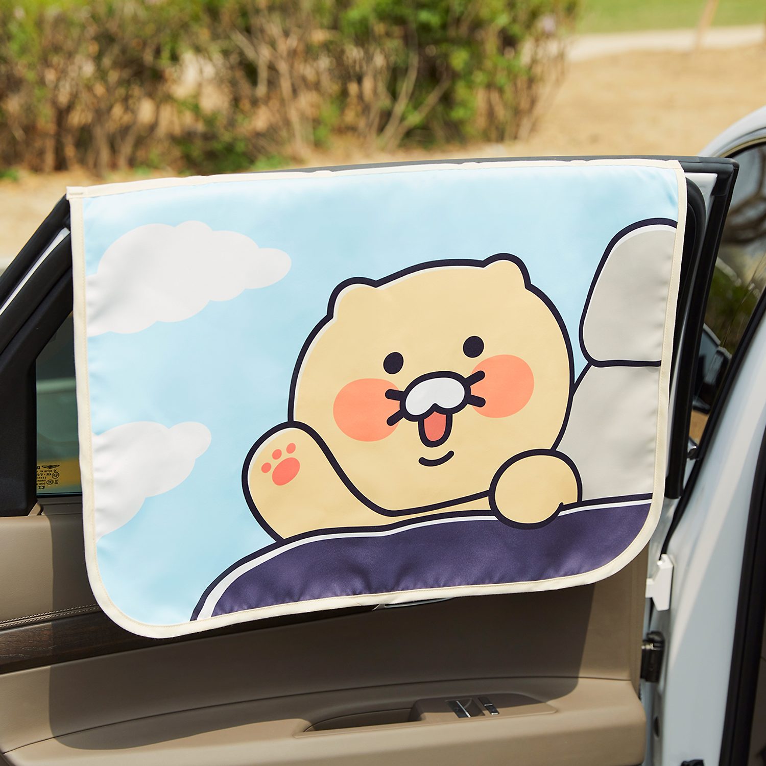 Car curtains for cars 1p_ spring