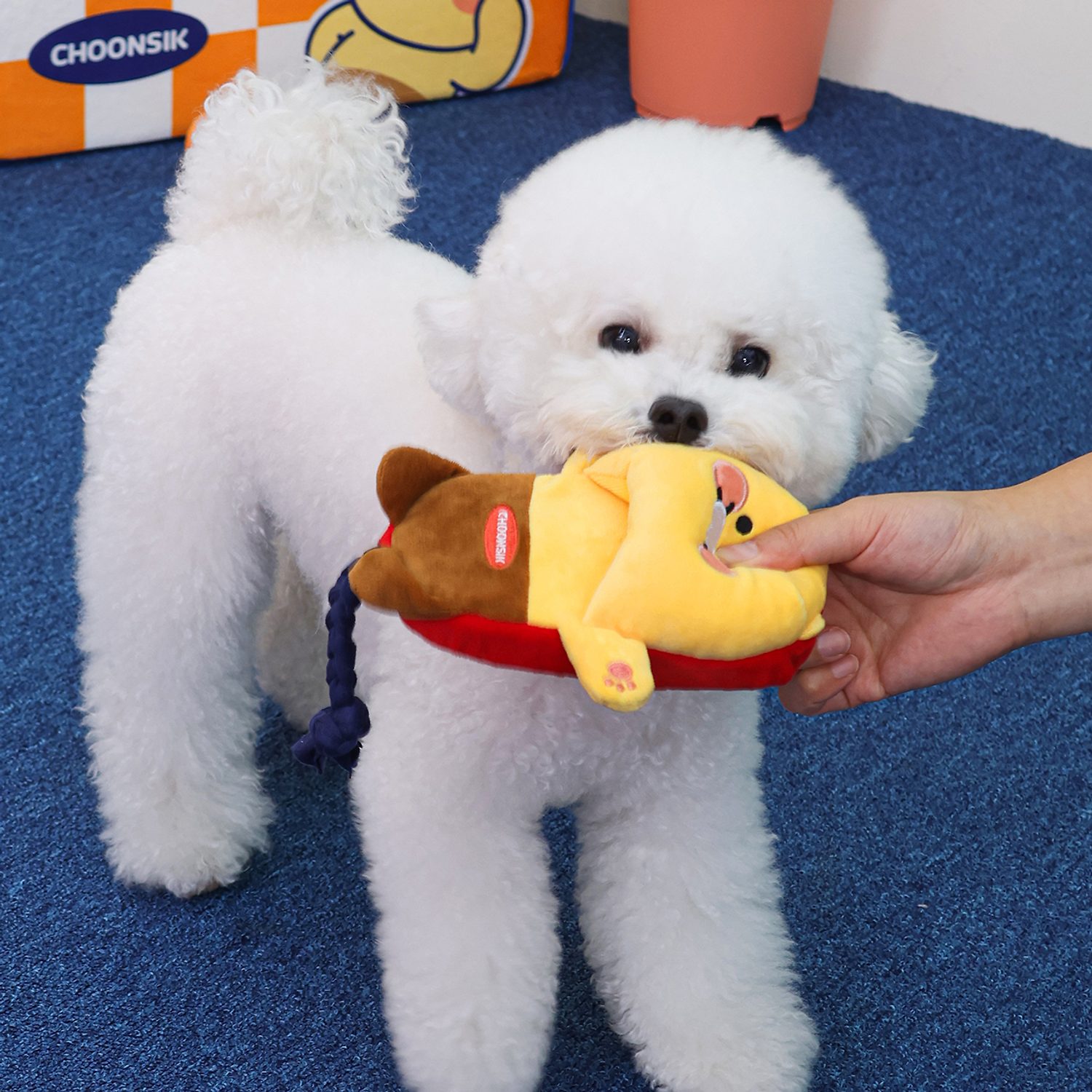 MyPet Slipper Tug Toy