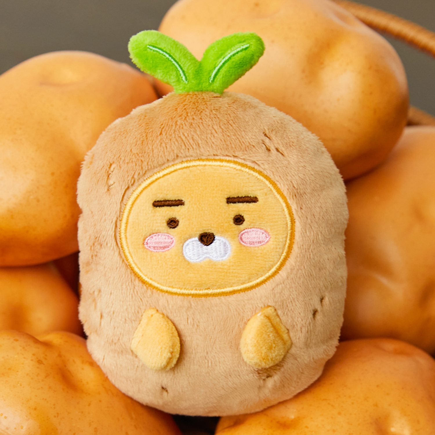 Country House Potato Hot Pack Doll_Ryan