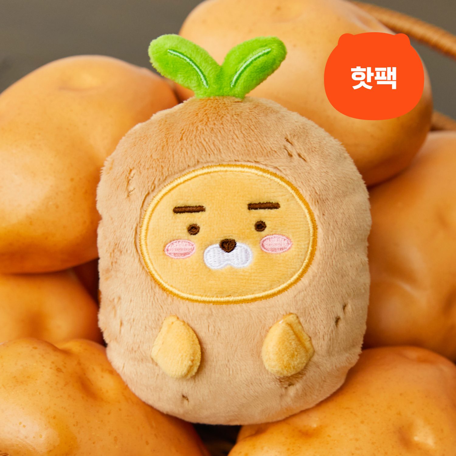 Country House Potato Hot Pack Doll_Ryan