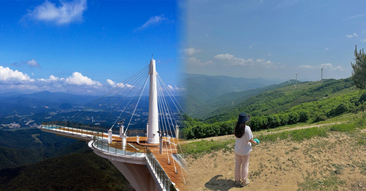 2. 발왕산 케이블카와 천년주목숲길