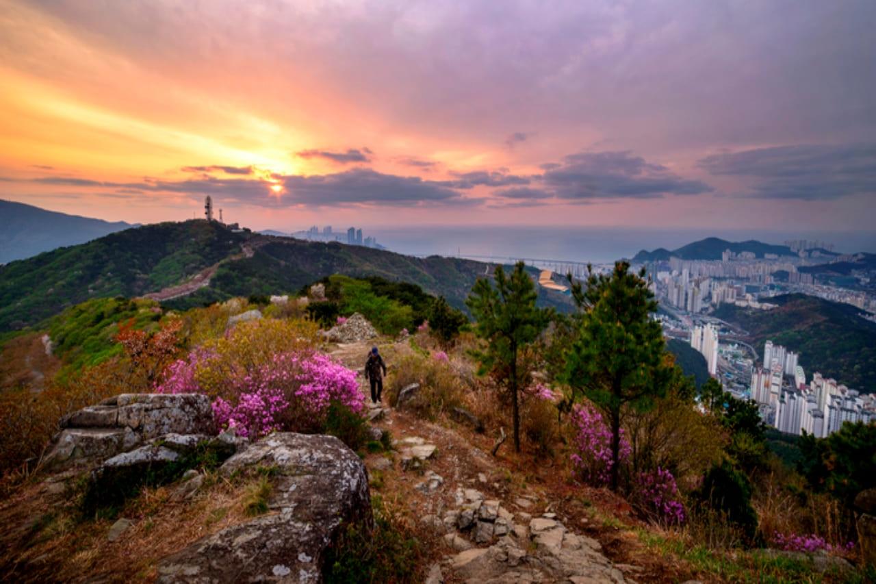 Hwangnyeongsan Autumn View