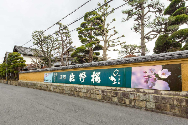 YAMANO1-1.jpg