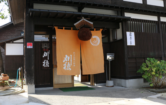 img1.jpg