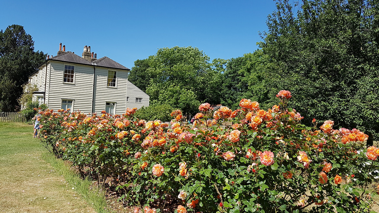 How to Step From the Tube to London's Hidden Green Escape: Exploring Morden Hall Park - News Directory 3