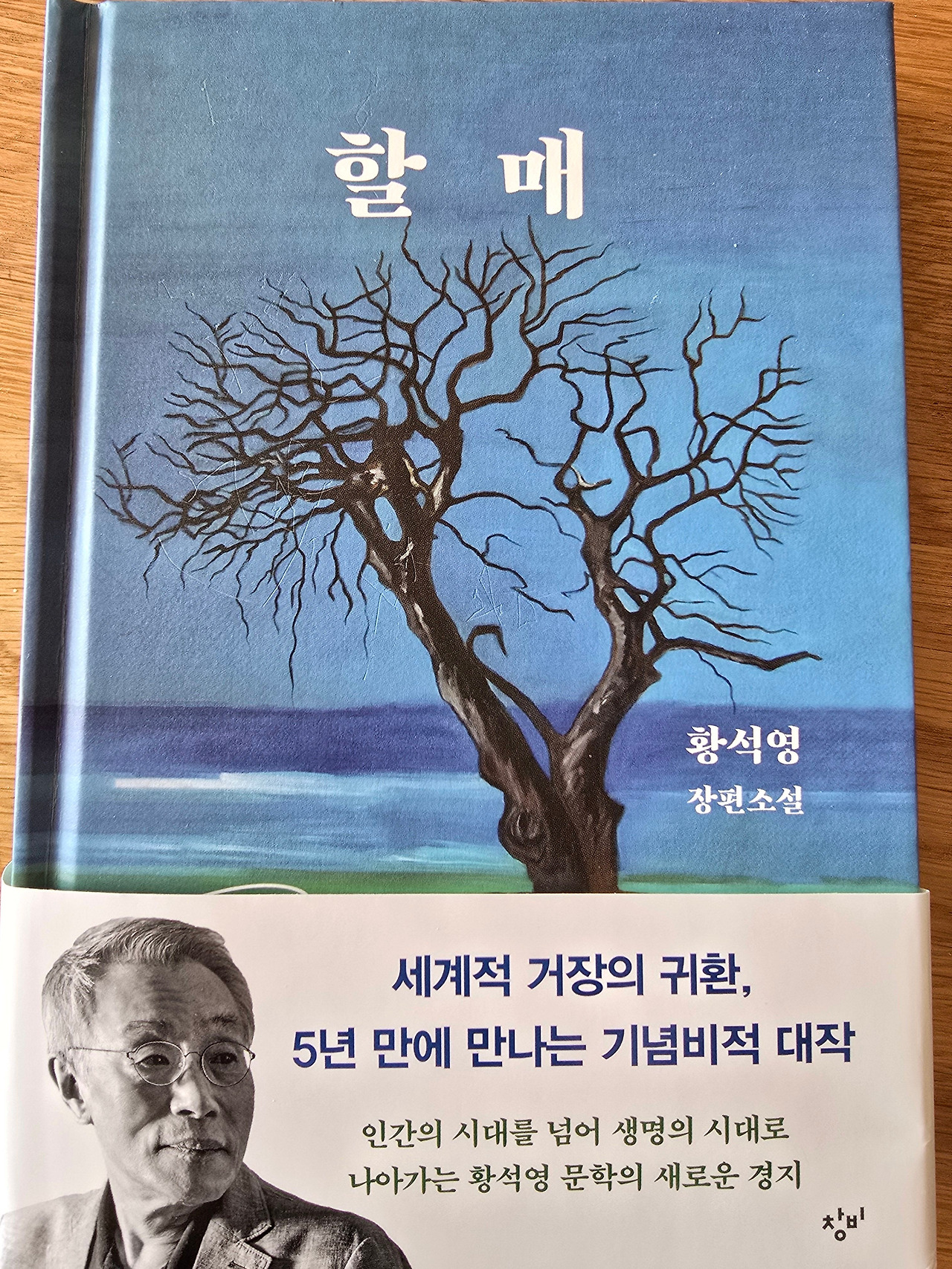 팽나무를 읽는 시간-황석영의『할매』