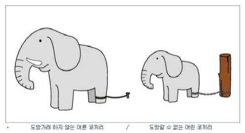 서커스단의 코끼리는 왜 탈출하지 못할까?