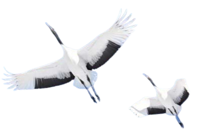 image-removebg-preview - 2026-08-26T062033.798.png